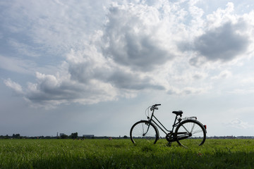 Fototapeta na wymiar Vélo dans un parc à Berlin, Allemagne