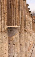 Line of Columns in Pompeii