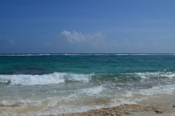 Amar el mar