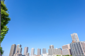 Obraz premium 隅田川沿いの高層マンション High-rise condominium in Tokyo