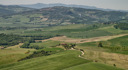 Fototapeta na wymiar Tuscan Countryside