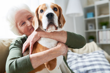 Portrait of elegant senior woman hugging pet dog tenderly and smiling happily while enjoying...