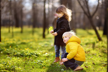 Cute little children playing together in sunny spring park