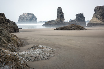Fototapeta na wymiar Sea stacks and rock formations on the beach in Bandon, Oregon on a foggy morning