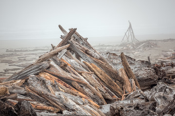 Driftwood piled on a foggy Bullard's Beach near Coquille Lighthouse in Oregon