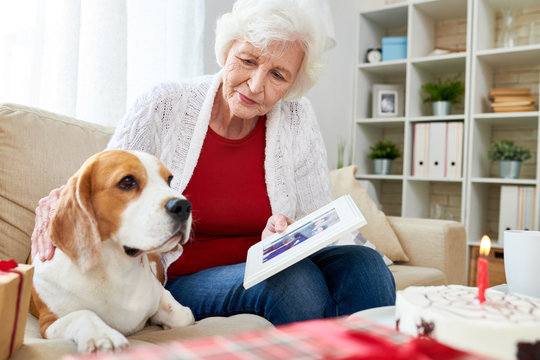 Portrait of white-haired senior woman holding photograph and remembering husband while sitting in comfortable armchair at home with her dog, copy space photo in frame by me 