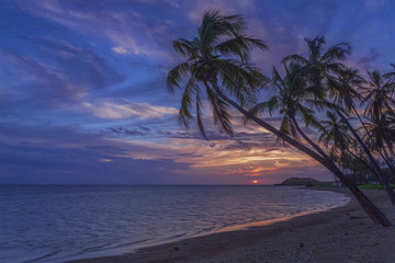 Palm trees silhouetted against the sky at sunset on a beach in Molokai, Hawaii