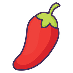 red pepper icon over white background, vector illustration