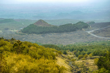 wild vegetation flourishing on slope of mount etna in Sicily, Italy