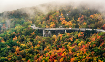 A foggy Linn Cove Viaduct close up in Autumn taken from Rough Ridge trail on the Blue Ridge Parkway