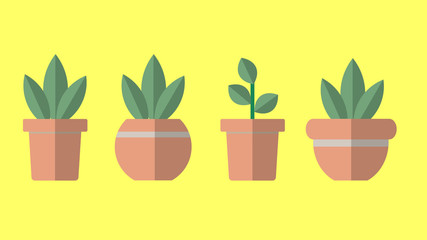 Vector flat Plants in pots, plants icon