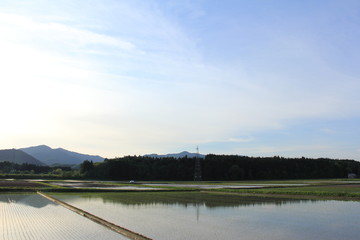 田舎の風景　水田　青空　春