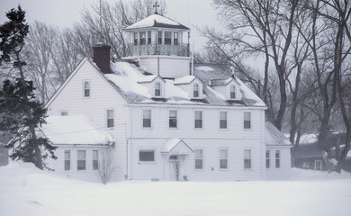 Naklejka premium Snowed In