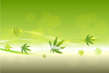 Fototapeta na wymiar green cannabis leaf drug marijuana herb Background.