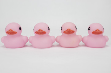 Four pink rubber ducks as viewed from the front on an isolated white background