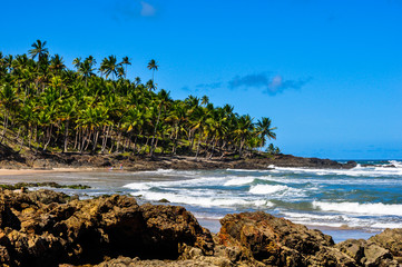 Fototapeta na wymiar Beautiful beach at Bahia, with warm water and coconut trees, south coast of Bahia, Brazil