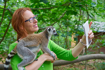 woman taking photo selfie with ring tailed lemur - obrazy, fototapety, plakaty