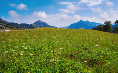 Leysin in Alps at Ormont Dessus in Switzerland