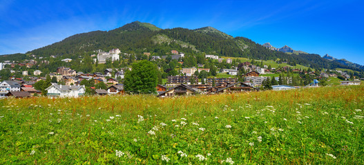 Leysin in Alps at Ormont Dessus in Switzerland