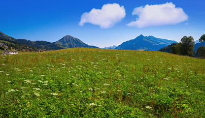 Leysin in Alps at Ormont Dessus in Switzerland
