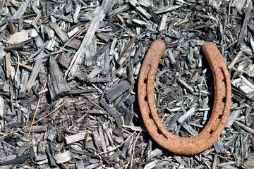 Rusty Iron Horse Shoe aligned right