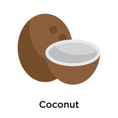 Coconut icon isolated on white background