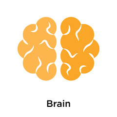 Brain icon isolated on white background