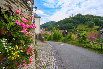 Stolberg flowers in Harz mountains Germany