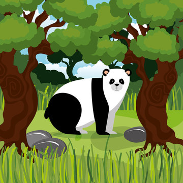 wild bear panda in the jungle scene vector illustration design