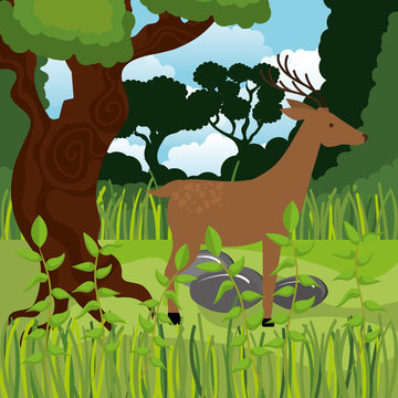 wild reindeer in the jungle scene vector illustration design