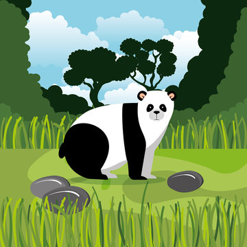 wild bear panda in the jungle scene vector illustration design