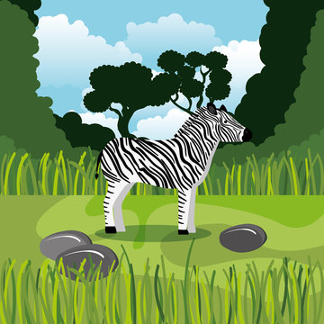 wild zebra in the jungle scene vector illustration design