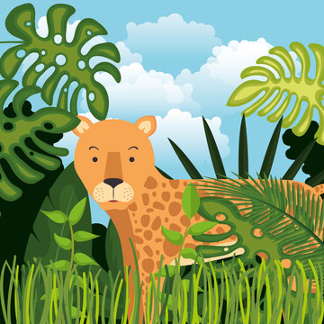 wild cheetah in the jungle scene vector illustration design