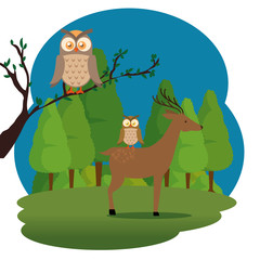 wild animals in the jungle scene vector illustration design