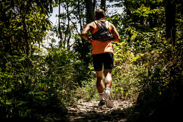 Trail running athlete moving through the wood in the rural road. Young fitness man running at tropical forest trail.
