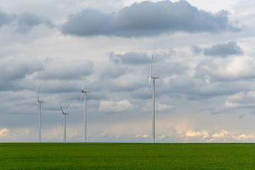 Fototapeta na wymiar Windmills on the colza field