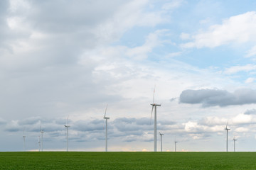 Windmills on the colza field