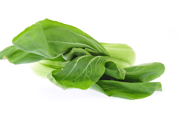 Chinese cabbage on a white background