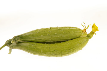 White background of cucumber