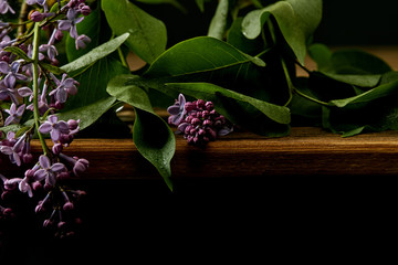 Obraz premium close-up shot of aromatic lilac flowers and leaves on wooden surface isolated on black