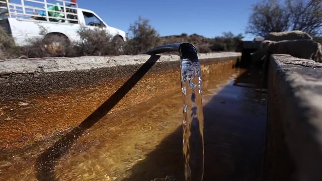 Running water from a pipe on a farm into a sheep's feeding trough