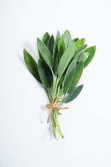 fresh sage herb