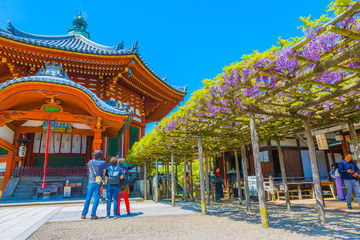 興福寺の南円堂の風景