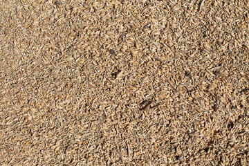 oats