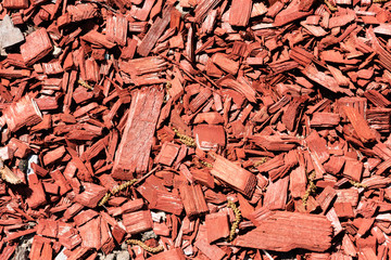 close-up view of red wooden chips background