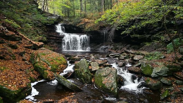 RB Ricketts Falls, a waterfall in Pennsylvania's Ricketts Glen State Park, flows through an autumn landscape in this seamlessly looping video footage.