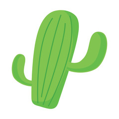 cactus plant icon over white background, vector illustration