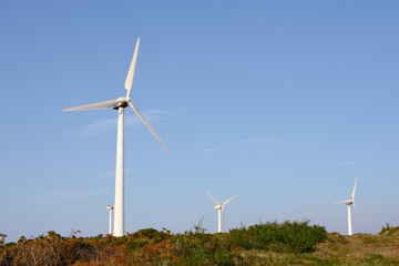 Fototapeta premium Windmills for electric power production