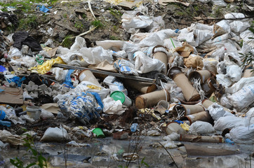 Ecology of Ukraine. Nature near Ukrainian capital.Environmental contamination. Illegal junk dump.
