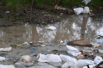 Ecology of Ukraine. Nature near Ukrainian capital.Environmental contamination. Illegal junk dump.
